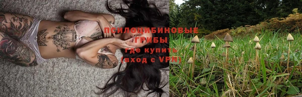 ECSTASY Баксан